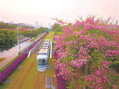 广州升级改造七条“大动脉”