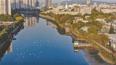 广佛跨界河流首实现全面达标