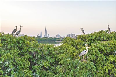 廣州迄今建成各類自然保護地89個