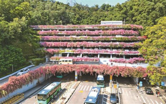 深圳一座停車場披“花衣”